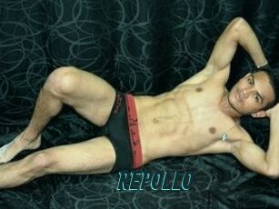 REPOLLO