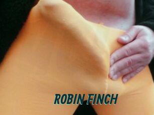 ROBIN_FINCH