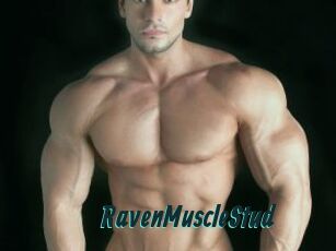 RavenMuscleStud