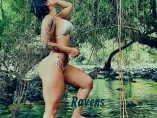 Ravens