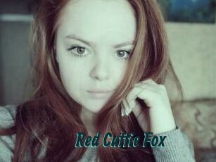 Red_Cuttie_Fox