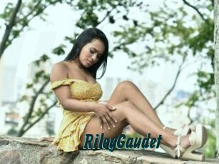 RileyGaudet