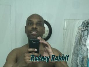 Rodney_Rabbit