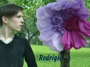 Rodrigie