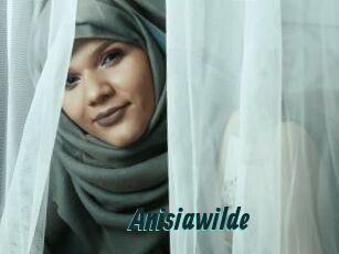 Anisiawilde
