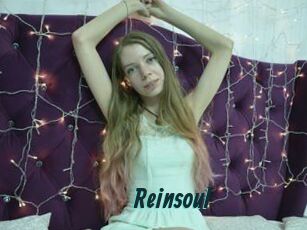 Reinsoul