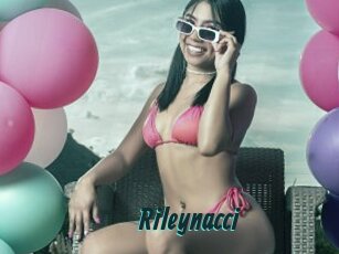 Rileynacci