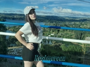 Rosimoreau