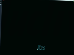 Rzs