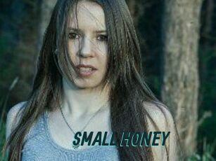 SMALL_HONEY