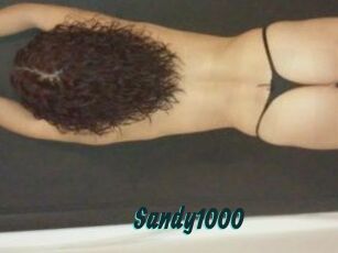 Sandy1000
