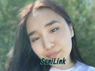 SaniLink