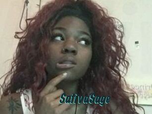 Sativa_Sage