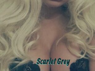 Scarlet_Grey