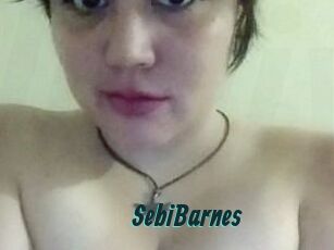 Sebi_Barnes