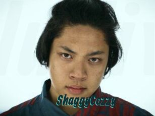 ShaggyCozzy