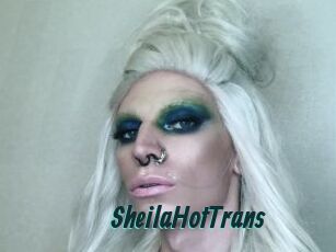 SheilaHotTrans