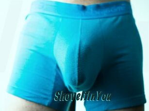 ShoveItInYou