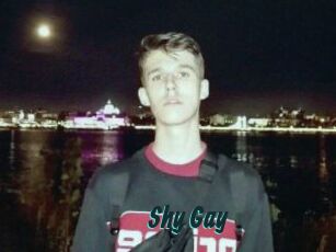 Shy_Gay