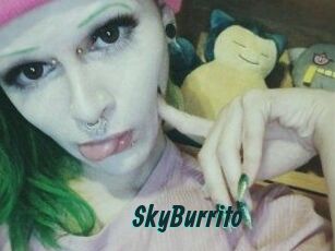 SkyBurrito