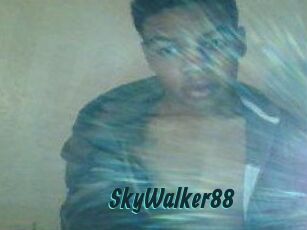 SkyWalker88