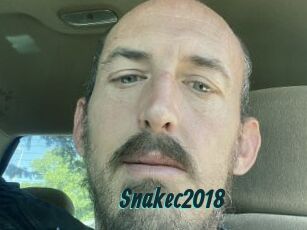 Snakec2018