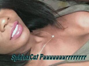 SphinxCat_Puuuuuuurrrrrrrr_