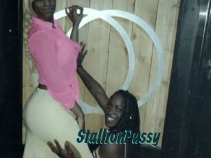 StallionPussy Lucy Live