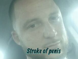 Stroke_of_penis