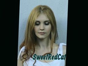 SweetRedCat