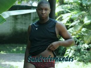 Sandrofernandes
