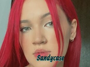 Sandycase