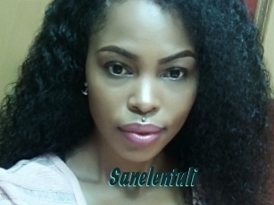 Sanelentuli