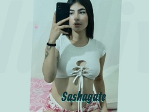 Sashagate