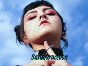 Satansraccoon