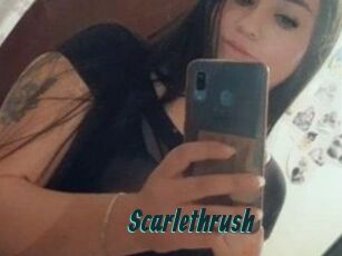 Scarlethrush