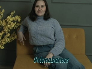 Selenabarnes