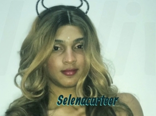 Selenacarteer