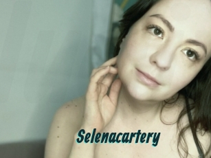 Selenacartery