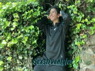 Sexstiventyler