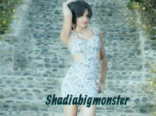 Shadiabigmonster