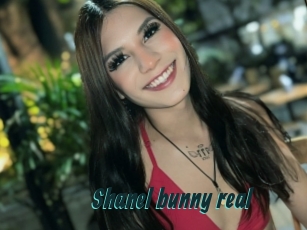 Shanel_bunny_real