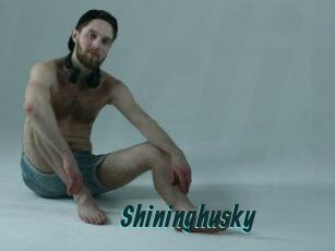 Shininghusky