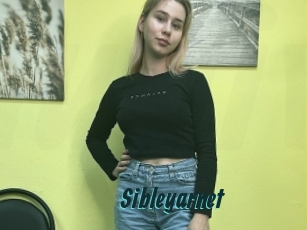 Sibleyarnet