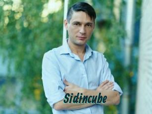 Sid_incube