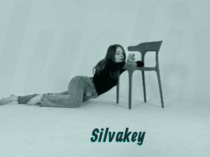 Silvakey