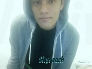 Skyreach