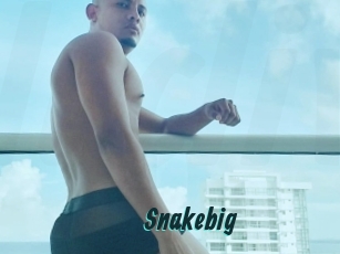 snakebig Lucy Live