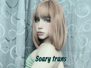 Soary_trans