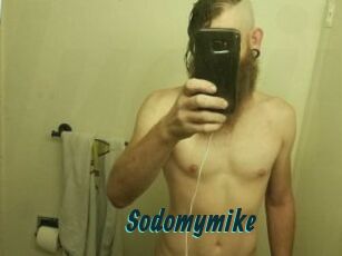 Sodomymike
